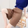 Pleated Wide Leg Elastic Waist Shorts Free Size 40kg-65kg